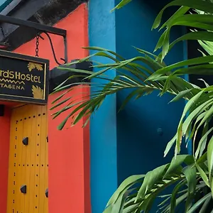 https://birds-hostel.cartagena-hotels.org